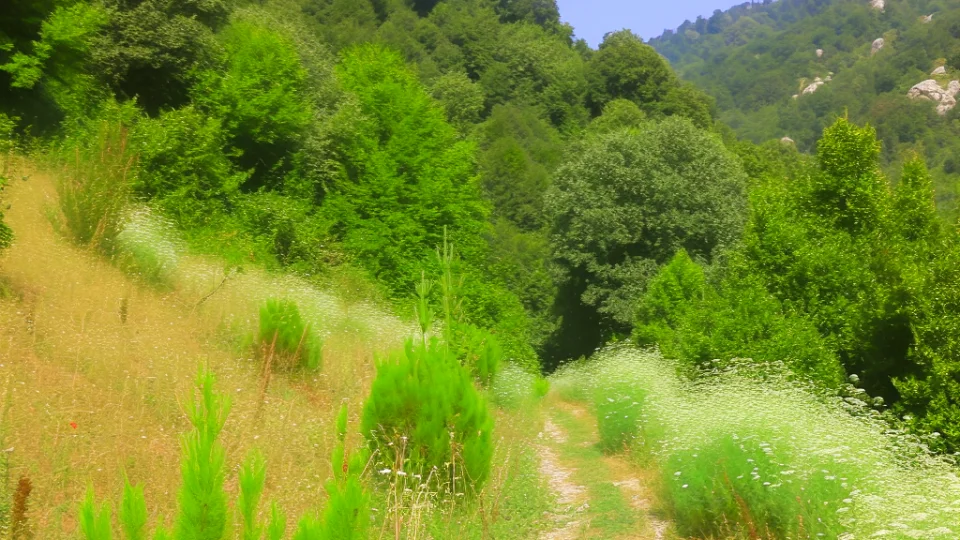 What Are the Best Trails for Hiking?